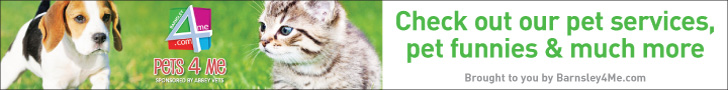Advertisement